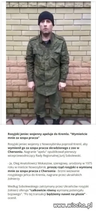 Wartość bojowa orków 