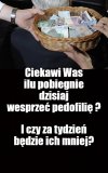 A  ICH OFIARY się przyglądają