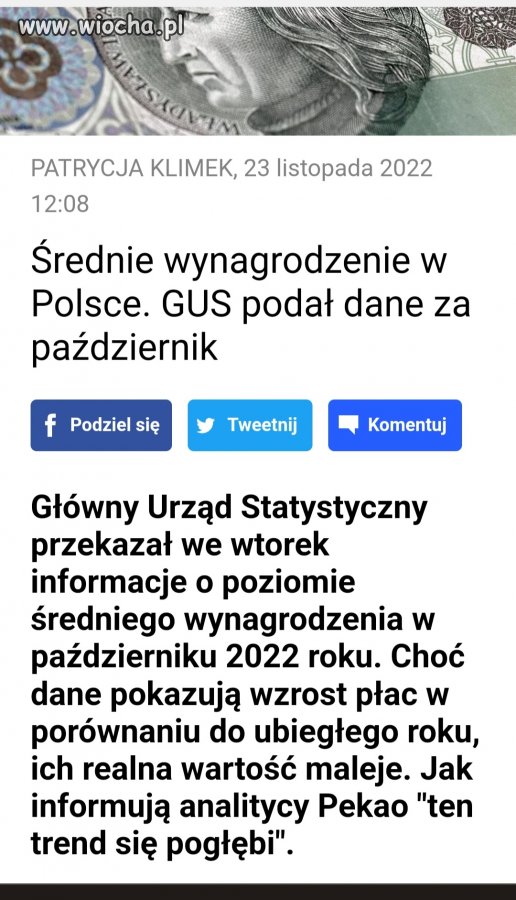 Macie pisiory kolejny sukces. 