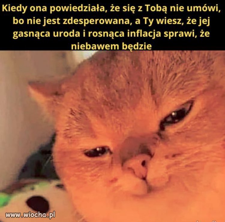 Panowie
