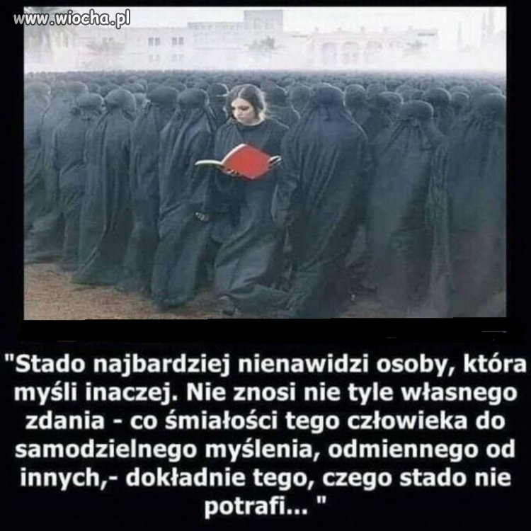 Inność ciekawi