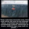 Inność ciekawi