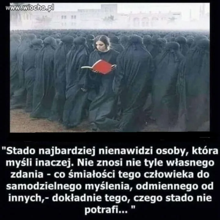 Inność ciekawi