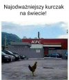 Igra...