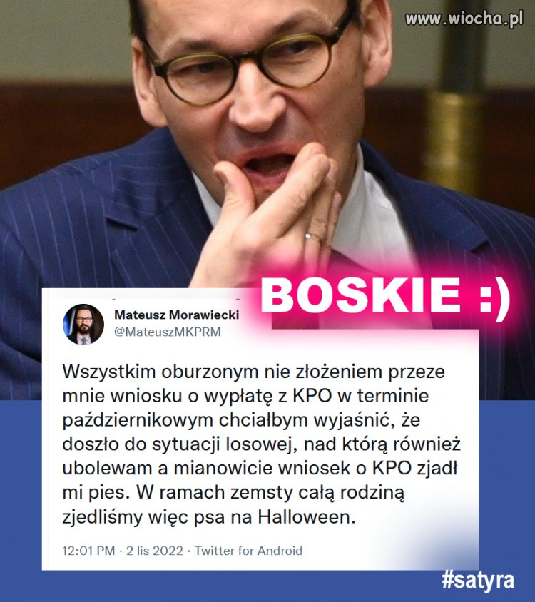 A jaka rasa? I co na to Rozencwajgowa?