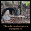 Napewno kochal swojego czlowieka bezgranicznie...