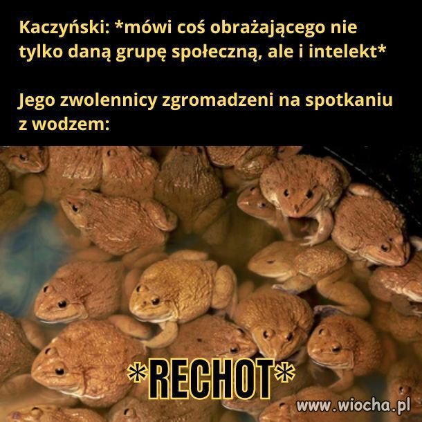 Wyborcy wuca