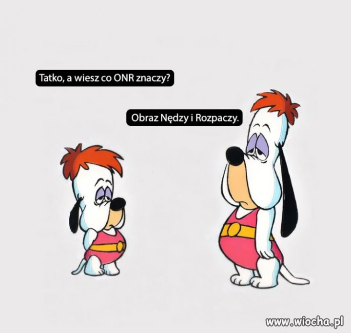 ONR
