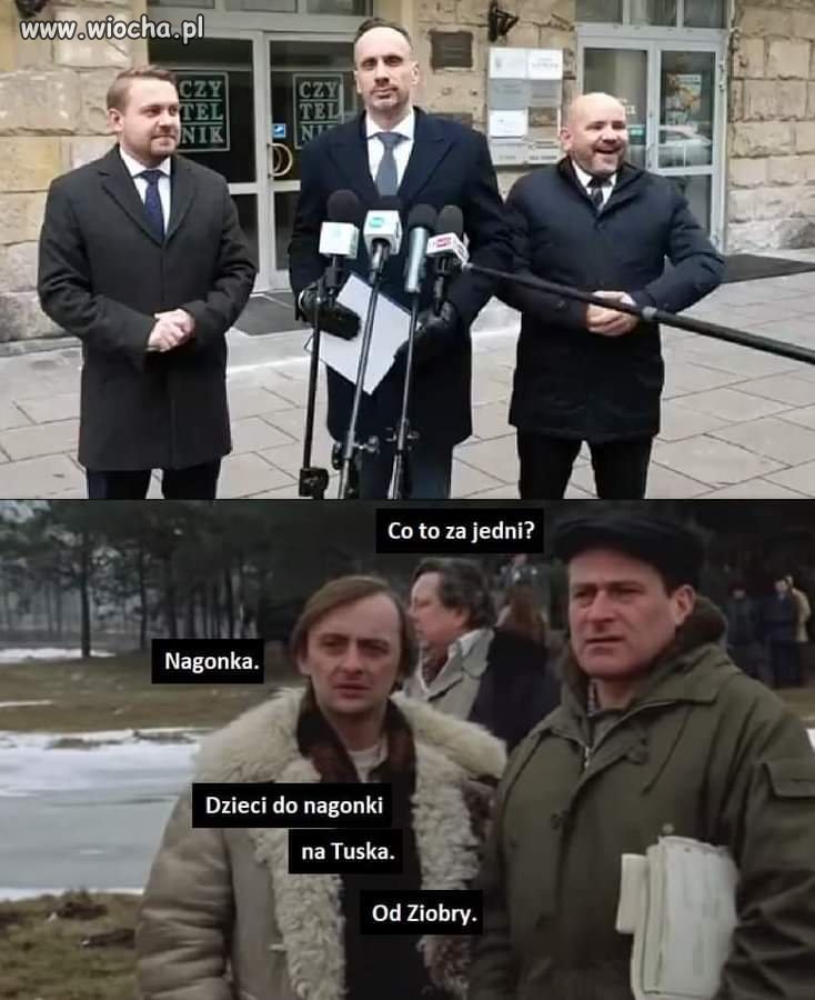 Miś na miarę możliwości pisiorów 