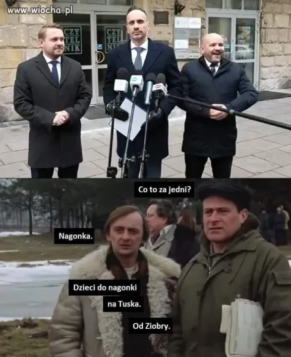 Miś na miarę możliwości pisiorów 