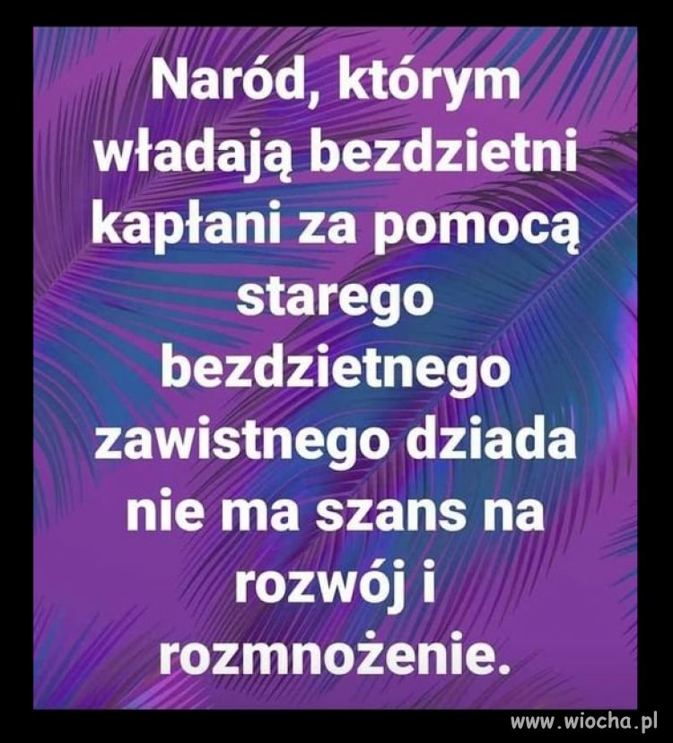 Przetrwaliśmy potop, rozbiory, dwie wojny światowe, komunizm... 