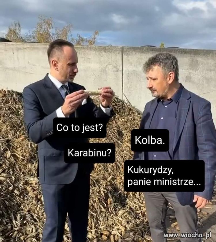Na takich debili głosują pisiory