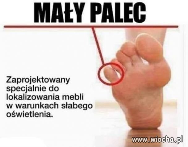 Dokładnie