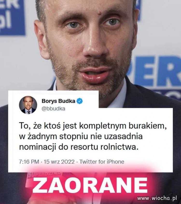 W PiS takie" kompetencje "to standard