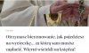 Nie ma nic za darmo