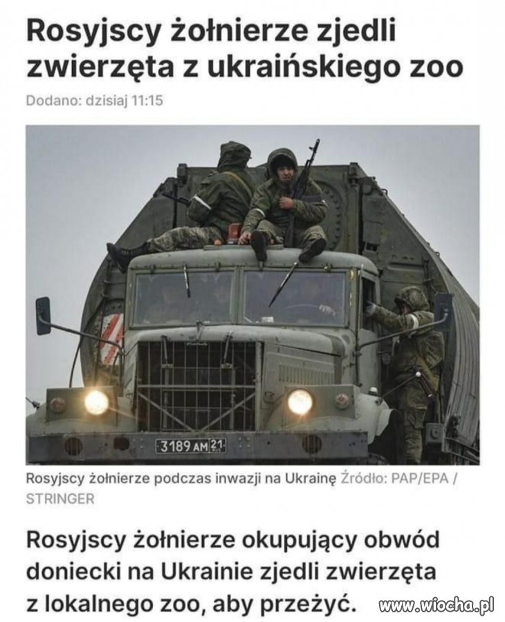 Głodny nie jesteś soba