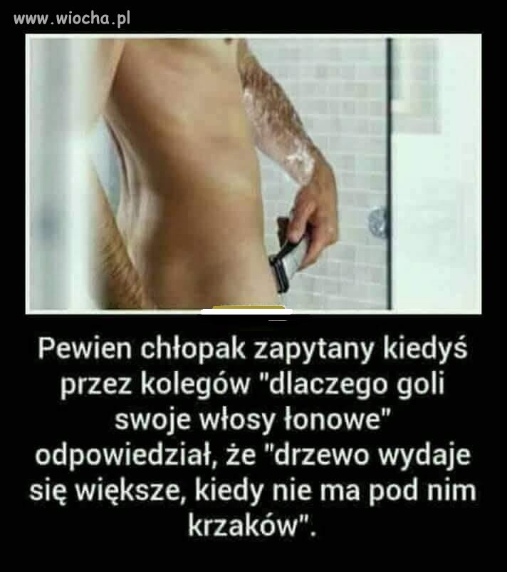 I chyba