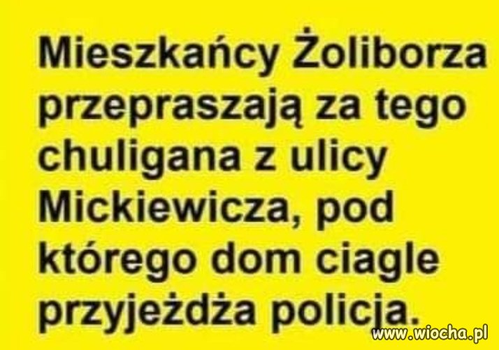 Gałgan z Żoliborza 