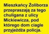 Gałgan z Żoliborza 