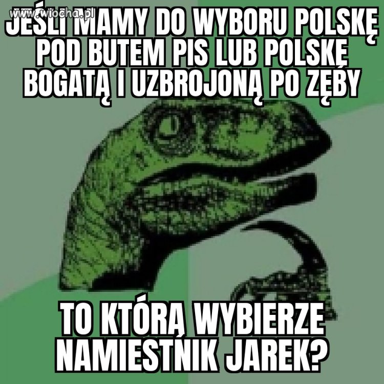 Jak sądzisz pisiorze?