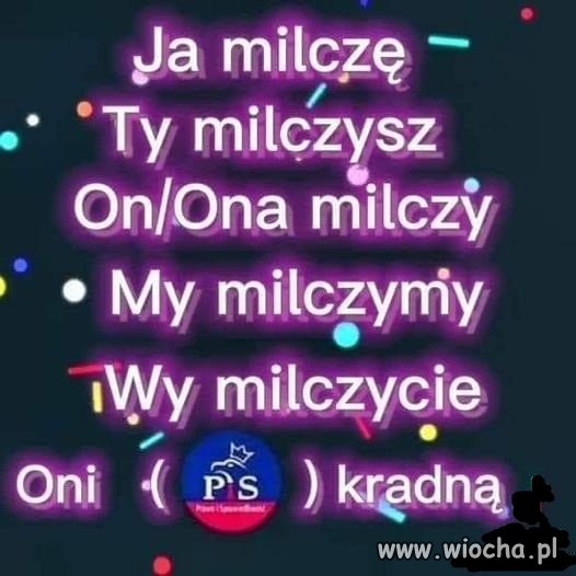Na wyborach