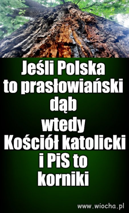 Chrońmy pomniki przyrody, to nasze dziedzictwo