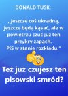 O tak. Będą 'kąsać'. Będą!