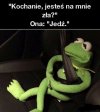 Ależ skąd