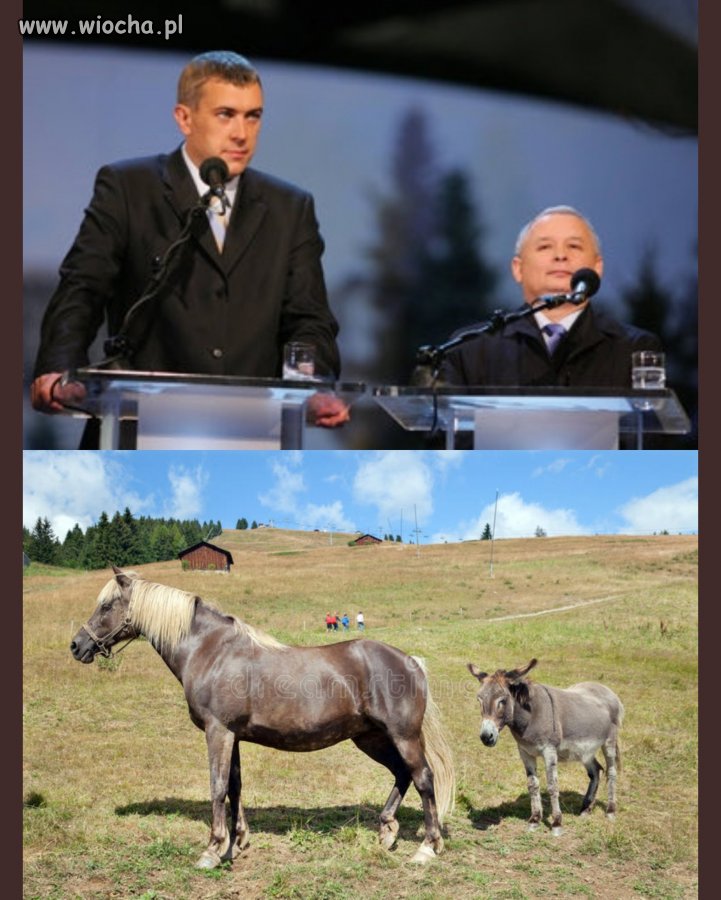Znajdz różnice.