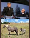 Znajdz różnice.