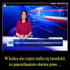 Miód jest dla mięczaków - prawdziwi twardziele żują pszczoły!