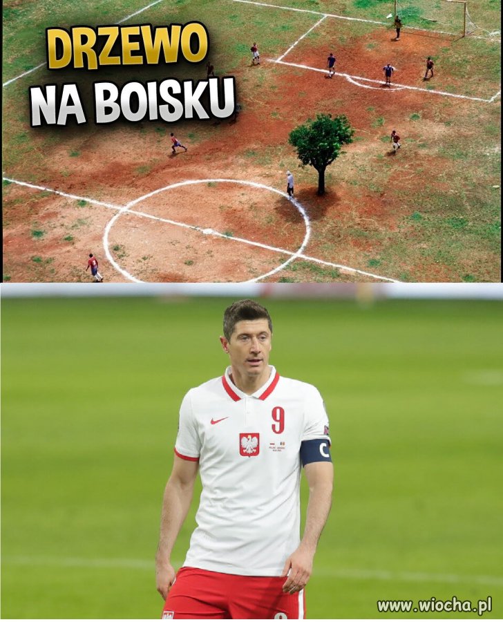 Lewandowski na meczu z Argentyną