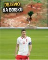 Lewandowski na meczu z Argentyną