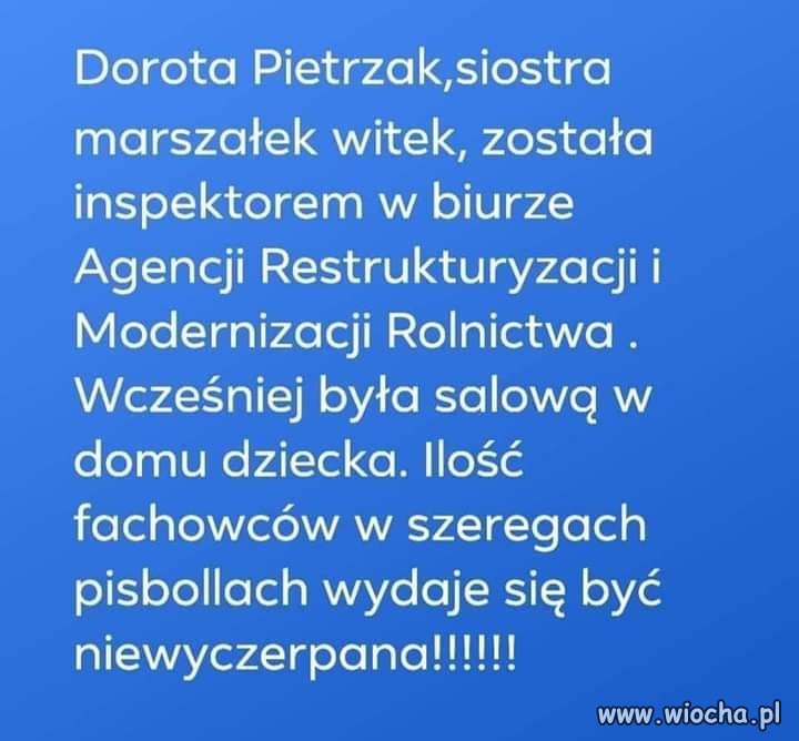 Tłuste koty z  PiS 