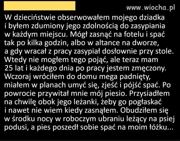 Rok 2022