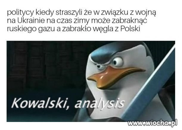 Taka prawda pisiorki