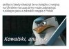 Taka prawda pisiorki