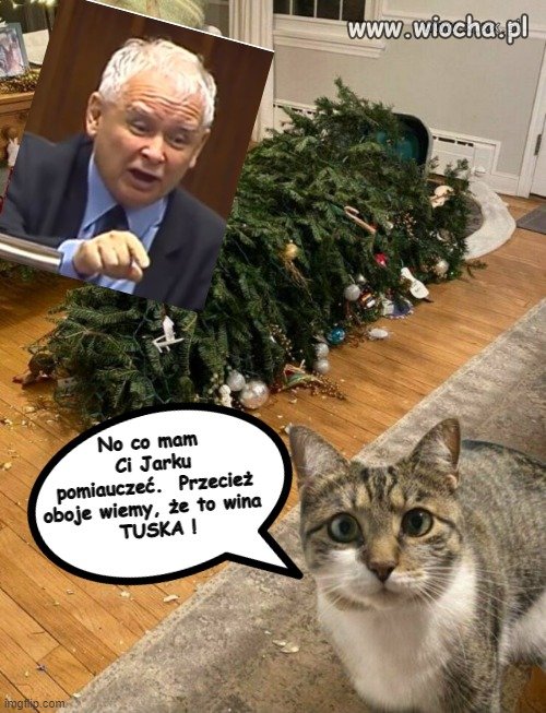 Tymczasem w pewnej willi
