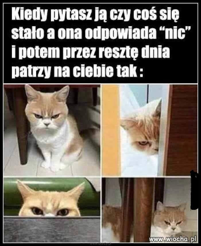 To jest bardzo proste