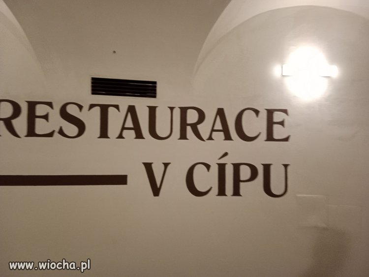Czeski to fajny język