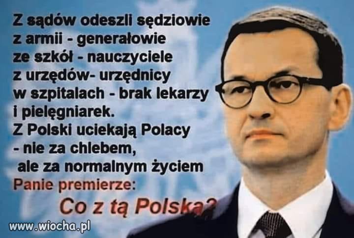 Ale z tym ''panie'' nie warto przesadzać...