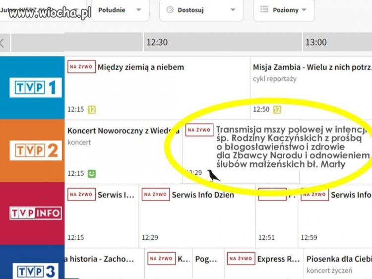 Że co???
