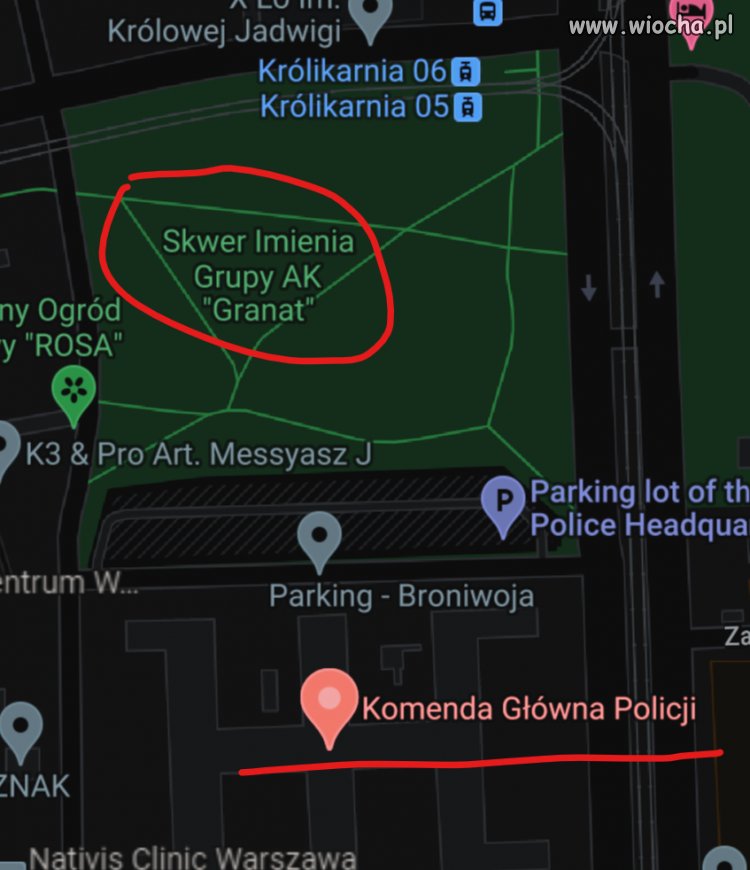 Wziął sobie do serca...