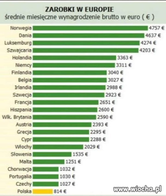 Tygrys Europy