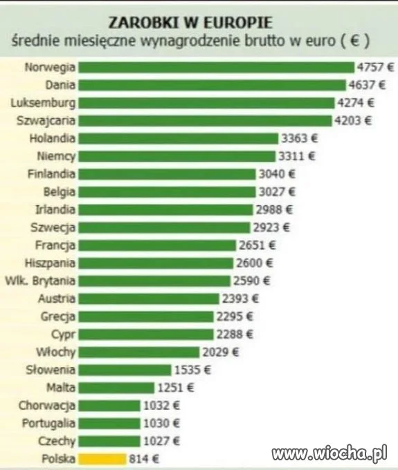 Tygrys Europy
