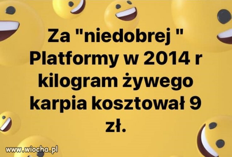 Ale wstaliśmy z kolan