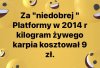 Ale wstaliśmy z kolan