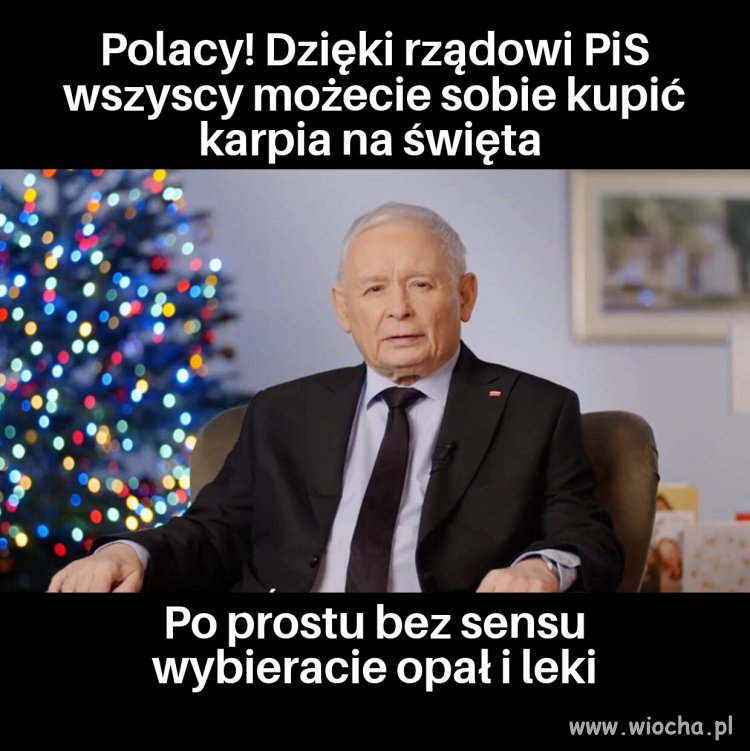 Sukces goni sukces 