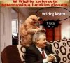 Nie w ten plik wszedłem