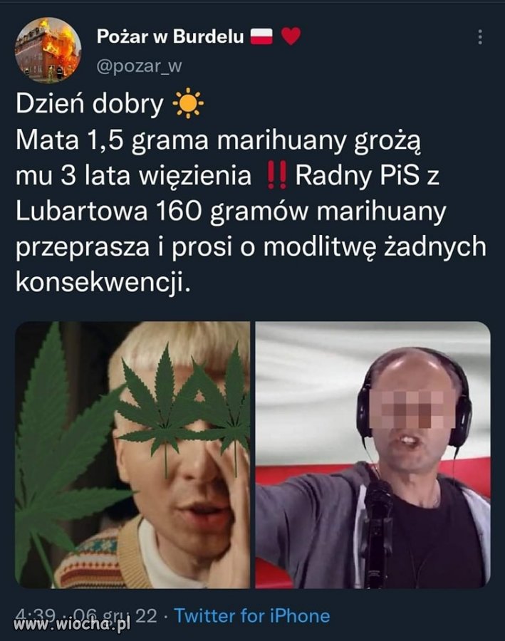 Są świnie równe i równiejsze?